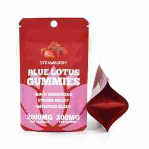 Stand Up Pouches Resealable Mylar Bags